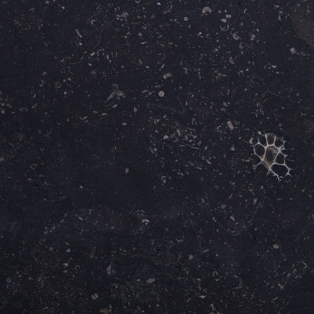 Blue Limestone