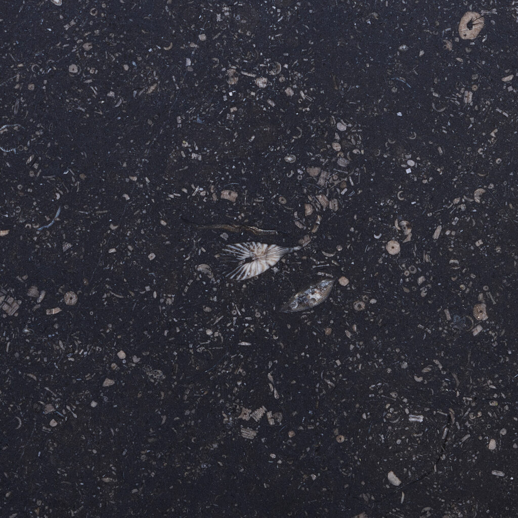 Blue Limestone