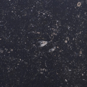 Blue Limestone