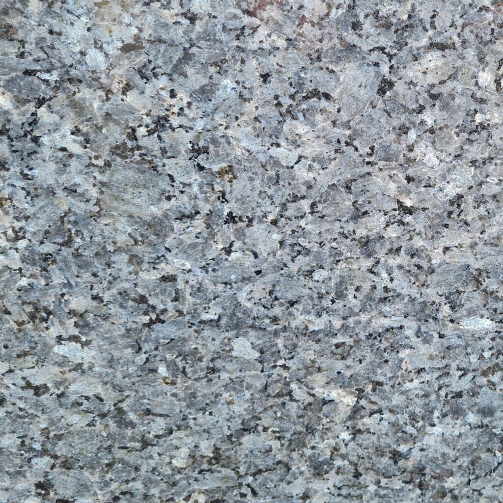 Labrador Blue Pearl