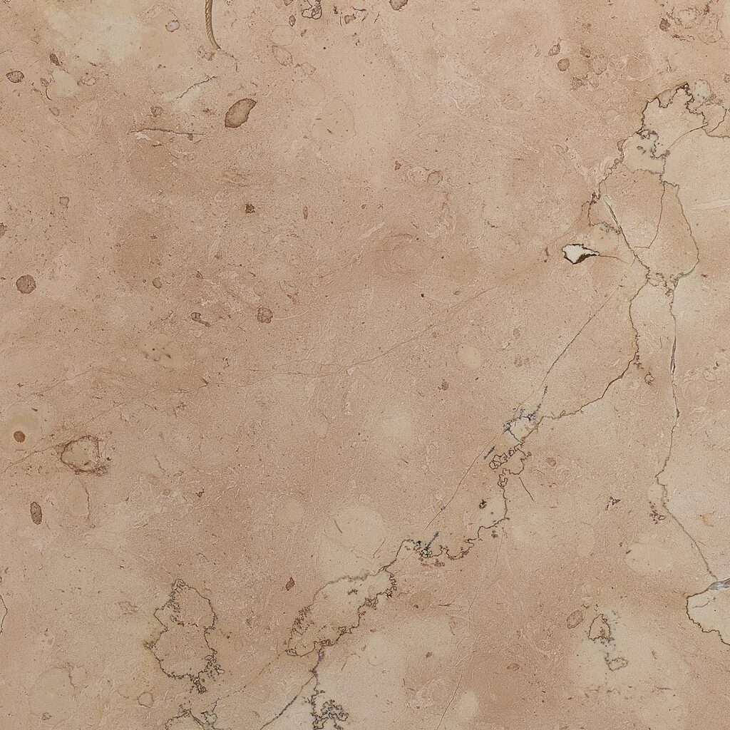 Rosa Perlino