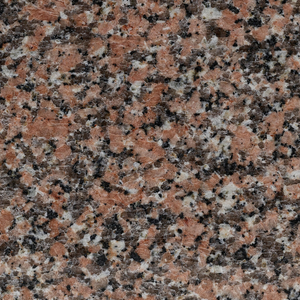 Rosa Porrino